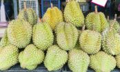 All About Durian