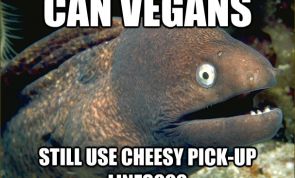 14 Things Only Vegans Will Understand