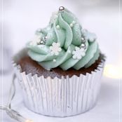 Chocolate Cupcakes with Peppermint Ice Frosting