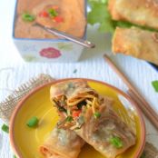 Chinese Spring Rolls- with Thai Peanut Sauce