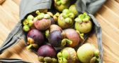 All About Mangosteen