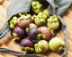 All About Mangosteen