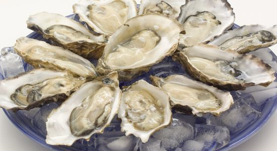 Oysters