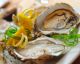 All About Shellfish