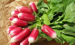 All About Radish