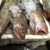 Cod with Truffle Mash and Roasted Leeks