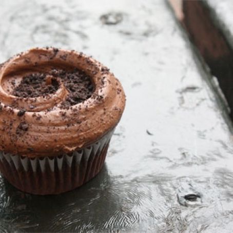 Chocolate cupcakes and chocolate frosting