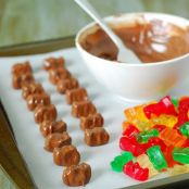 Chocolate Covered Gummy Bears