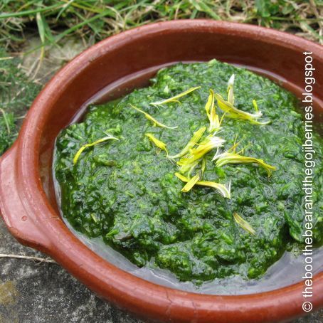 Dandelion pesto