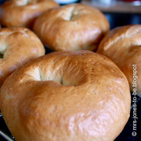 NY Style Bagels