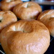 NY Style Bagels