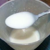 Condensed Milk or Dulce de Leche
