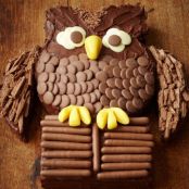 Chocolate Owl Cake