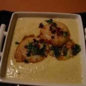 Cream of chicory soup with scallops