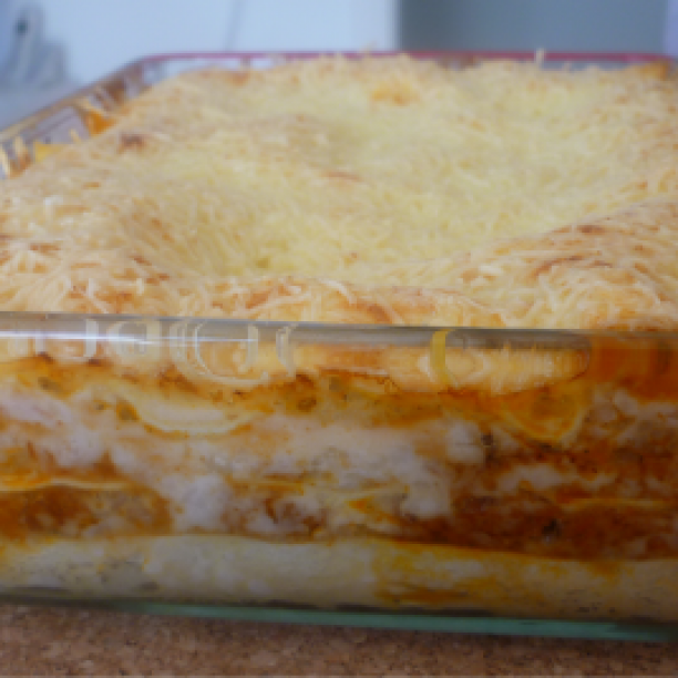 Veggie soya Lasagne