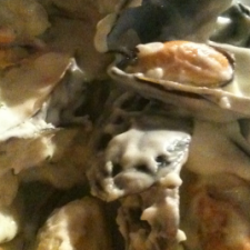 Mussels in cream and white wine sauce